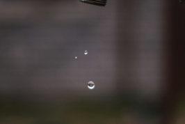 Photo by Walter Randlehoff on Unsplash