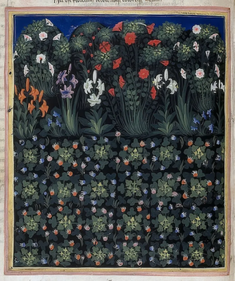 Garden (From Regia Carmina di Convenevole da Prato), by Pacino di Buonaguida, 1340 © British Library