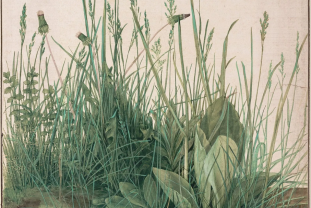 Great Piece of Turf  by Albrecht Dürer , 1503 © Albertina Museum, Vienna