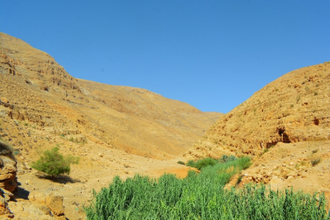 Wadi Qelt, east of Jerusalem,  on the way to Jericho.   Photo by Nour Tayeh on Unsplash