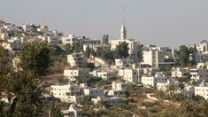 Taybeh