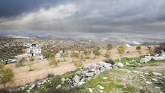 Taybeh area - image CBCEW