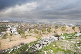 Taybeh area - image CBCEW
