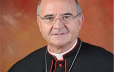 South African Cardinal Stephen Brislin, Archbishop of Johannesburg.