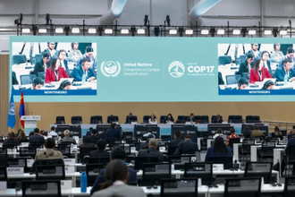 COP17