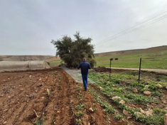 Recently illegal settlers have stepped up attacks on communities in the West Bank, destroying crops and driving Palestinians from their homes.