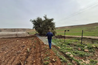 Recently illegal settlers have stepped up attacks on communities in the West Bank, destroying crops and driving Palestinians from their homes.