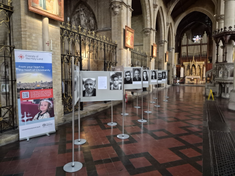 Fifty Faces of the Holy Land exhibition