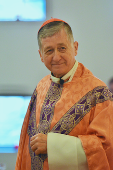 Cardinal Cupich Wiki Image