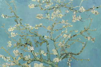 Almond Blossom, by Vincent van Gogh, 1890 © Van Gogh Museum, Amsterdam